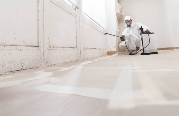 24/7 Emergency Basement Mold Remediation experts in Bethesda, MD