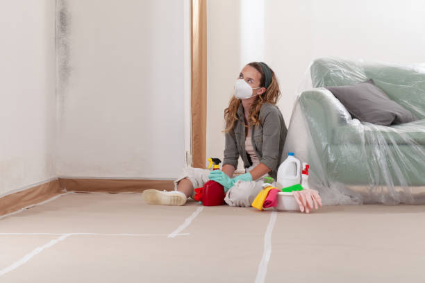 Reliable Basement Mold Remediation contractor in Bethesda, MD by Car Mold Remediation